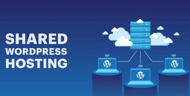 Truth About Shared WordPress Web Hosting